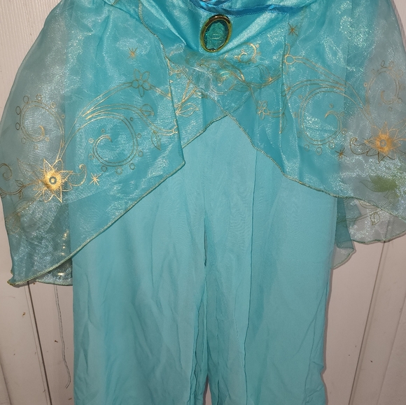 Jasmine costume - Picture 2 of 5
